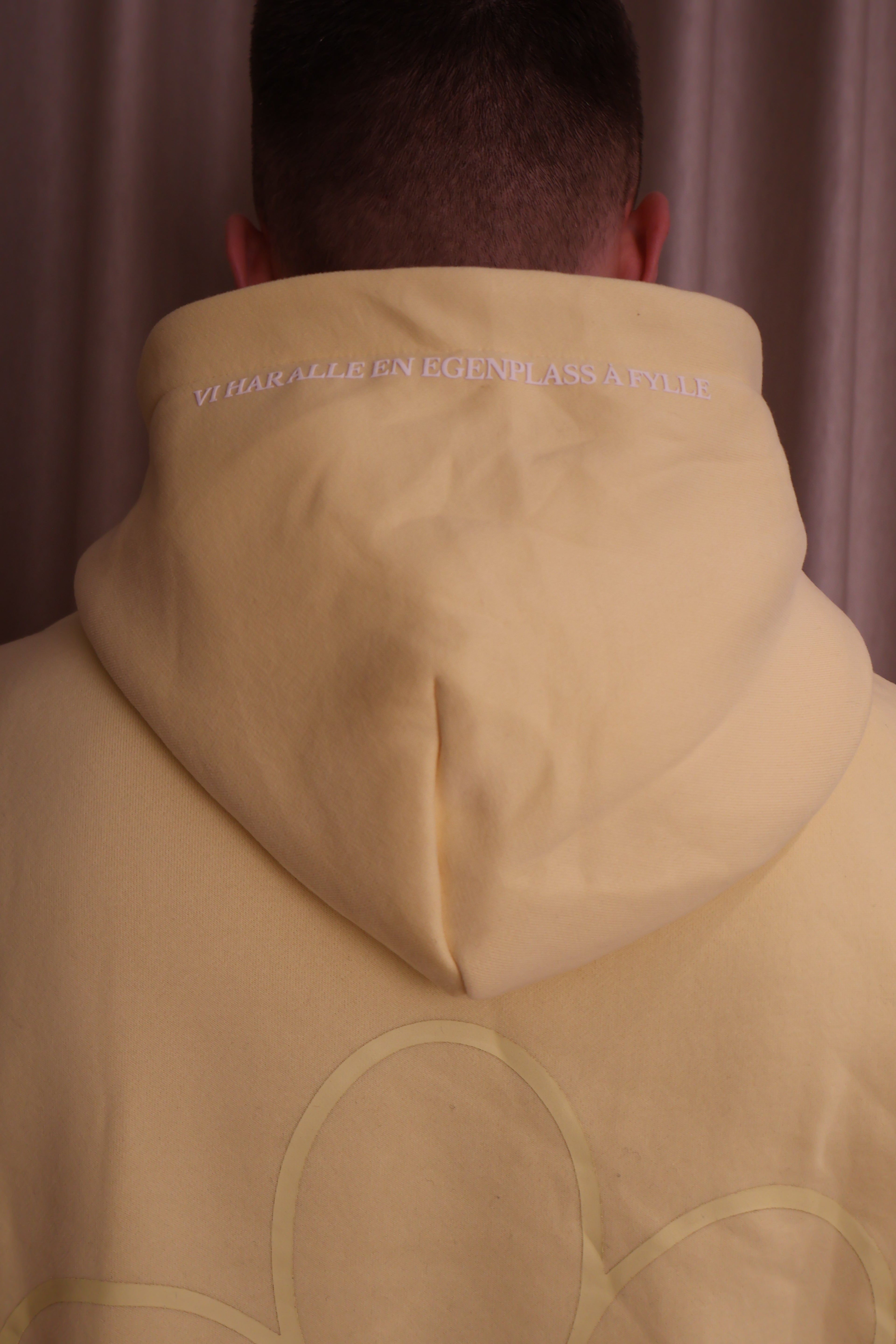 Fjellvang inviterer - hoodie