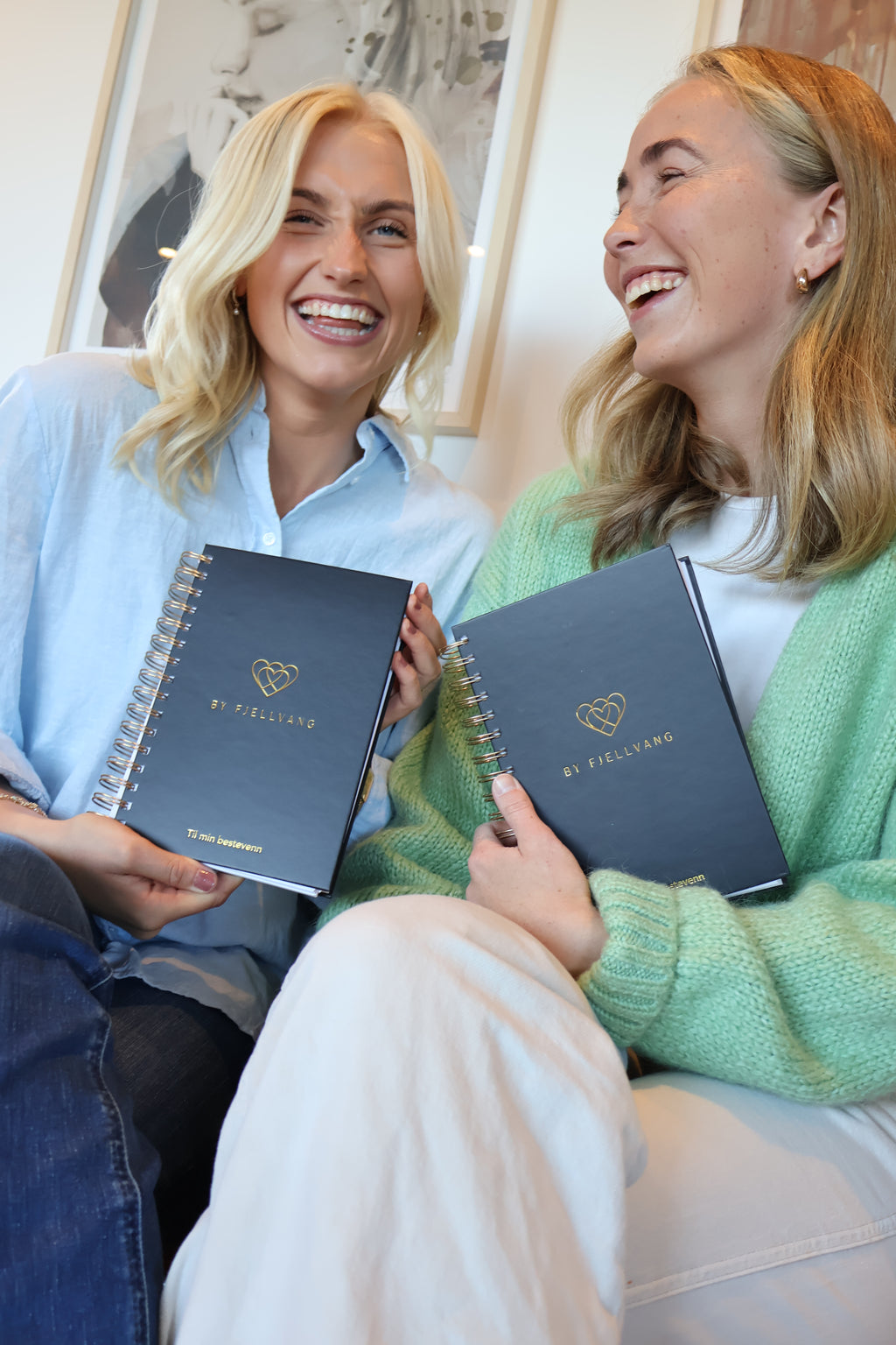 Til min bestevenn - dagbok